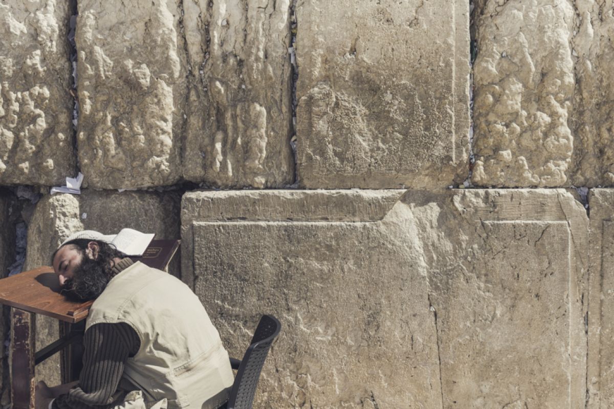 homme dort Exposition Clément Chapillon "Promise me a land"