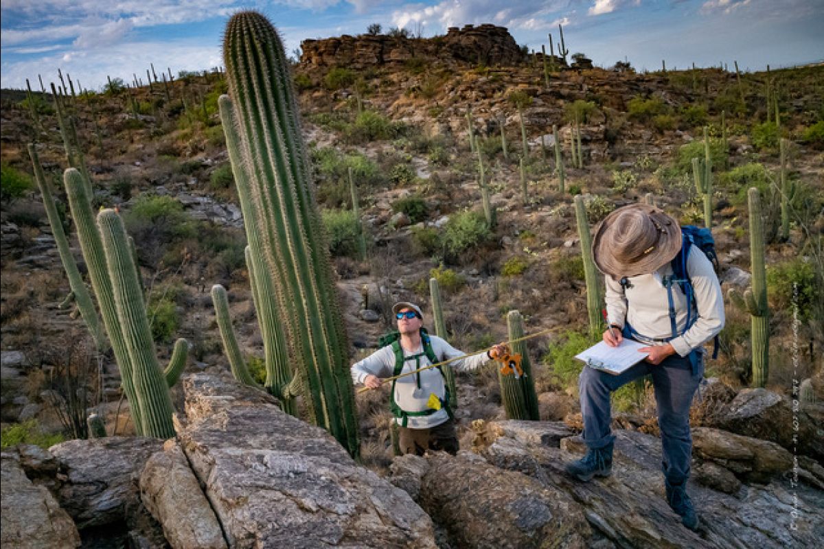 Olivier Touron pour GEO