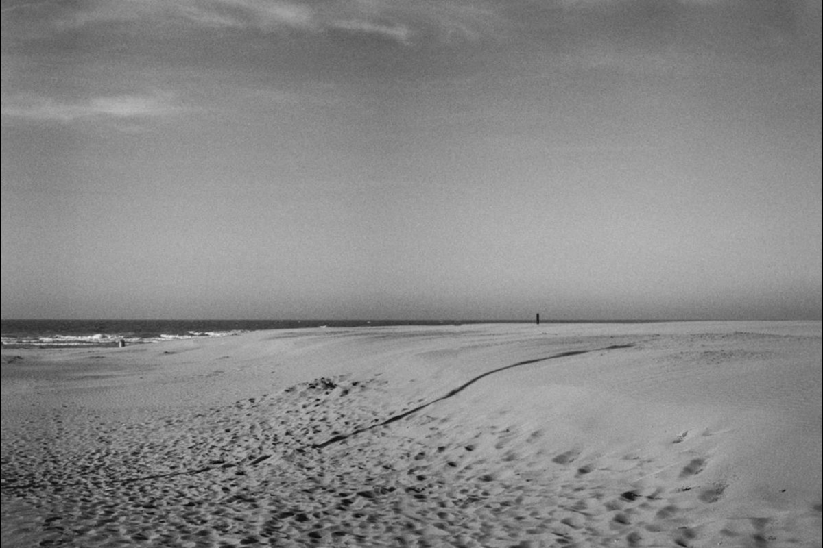 Stephen Dock - Belgique