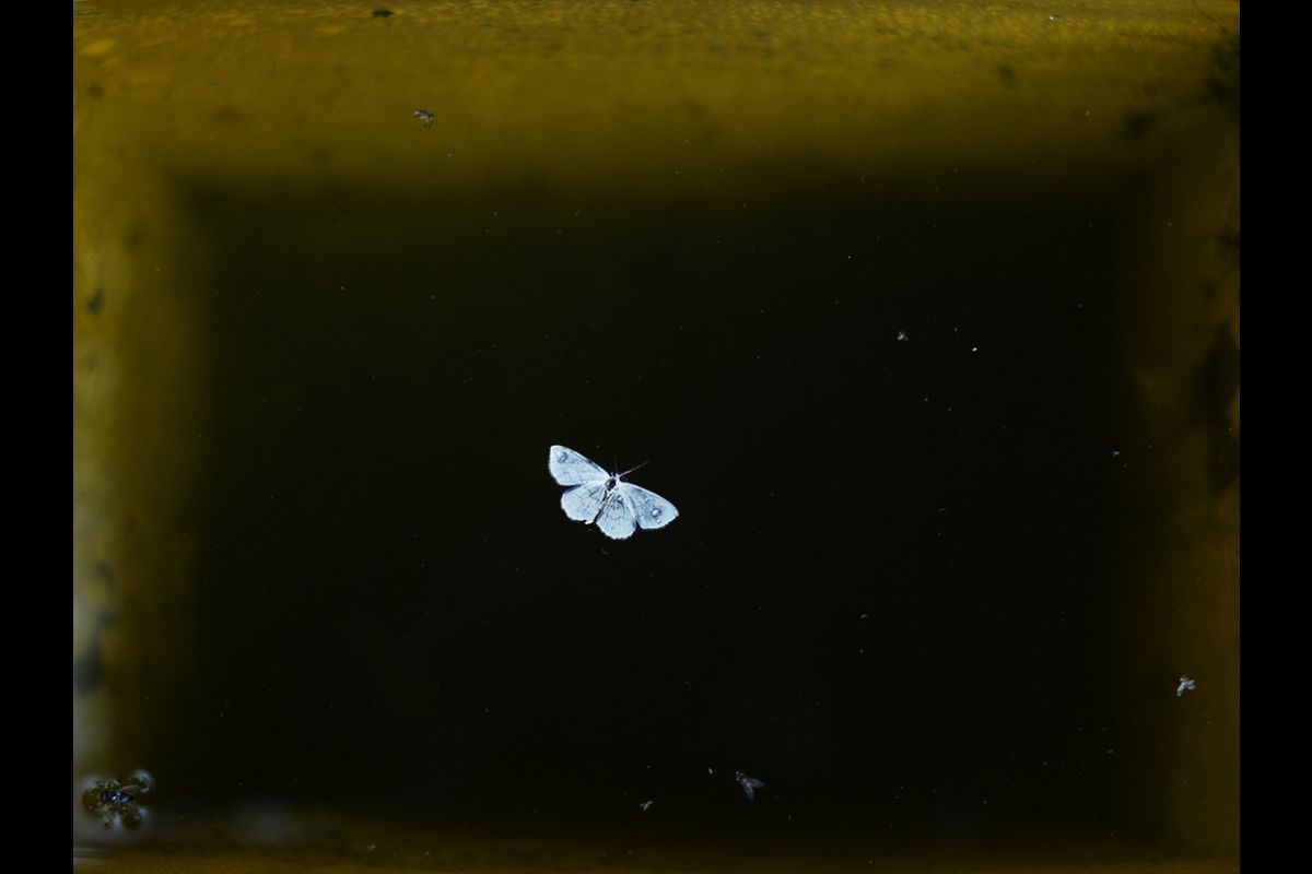 Une odyssée sibérienne | Claudine Doury